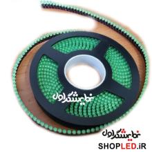 LED اوال 5 متری سبز-160